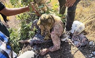 2 gün sonra evine 300 metre mesafedeki bahçesinde bulundu