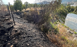 Alanya'da otluk alanda çıkan yangın büyümeden söndürüldü