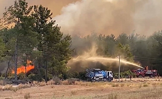 Antalya’da 2025’te 118 orman yangını çıktı, 540 hektar alan zarar gördü