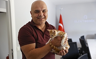 Çaya düşüp hayatta kalma mücadelesi veren yavru kediyi ekipler kurtardı