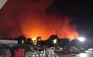 Aksu'da ormanlık alanda yangın