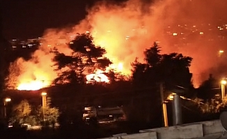 Aksu Konak Mahallesi’nde sazlık yangını paniğe neden oldu