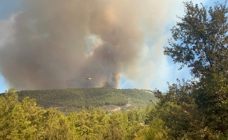 Alanya'da ormanlık alanda yangın