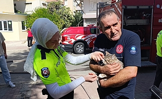 Dolabın arkasında saklanırken bulundu!