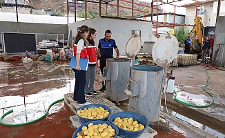 Aksu'da sağlıksız şartlarda patates dilimleyen işletme mühürlendi
