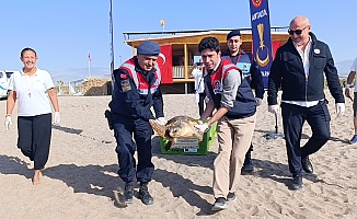 Tedavisi tamamlanan caretta caretta denizin maviliğine kulaç açtı