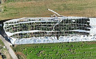 Antalya'da hortumun seralara verdiği zararın boyutu gün yüzüne çıktı