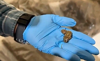 Antalya'da narkotik operasyonunda yüklü miktarda uyuşturucu ele geçirildi: 4 tutuklama