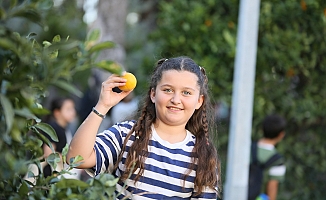 Dokumapark’tan toplanan portakallar vatandaşlarla paylaşıldı