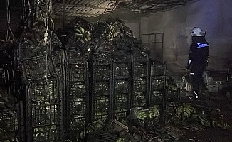 Muz sarartma tesisinde yangın: Tonlarca muz zarar gördü