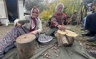 Topladıkları kozalakları şifa deposuna dönüştürüyorlar