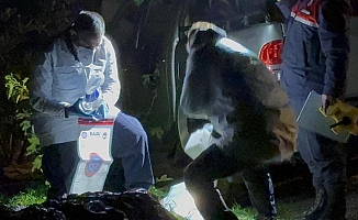  Antalya'da araç içinde yanmış ceset bulundu