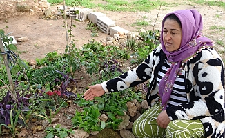 Babasının mezarındaki çiçekleri söküp uyuşturucu sakladılar