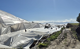  Manavgat'ta hortumdan zarar gören bölgelerde hasar tespit çalışması yapıldı