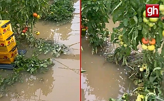 Sarı kodlu uyarı sonrası Aksu’da sağanak tarımı vurdu!