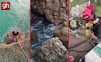 Falezlerde mahsur kalan kediyi film gibi operasyonla kurtardılar