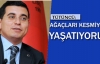 Ağaçları kesmiyor yaşatıyoruz