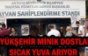 Büyükşehir minik dostlara sıcak yuva arıyor