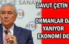Davut Çetin: Ormanlar da yanıyor ekonomi de