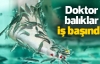 Doktor balıklar iş başında