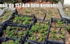 Elmalı'da 157 kök hint keneviri