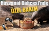 Hayvanat Bahçesi'nde ÖZEL BAKIM