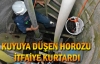 Kuyuya düşen horozu itfaiye kurtardı