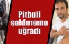 Pitbull saldırısına uğradı