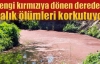 Rengi kırmızıya dönen deredeki balık ölümleri korkutuyor