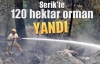 Serik'te 120 hektar orman YANDI