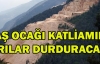 Taş ocağı katliamını arılar durduracak