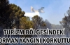 Turizm bölgesindeki orman yangını korkuttu