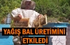 Yağış bal üretimini etkiledi