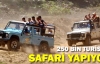 Yılda 250 Bin Turist Safari Yapıyor