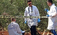 Zeytinlik alanda 23 yaşındaki gencin cesedi bulundu