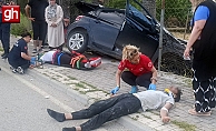 Karşı şeride geçerek bahçedeki palmiyeye çarptı!
