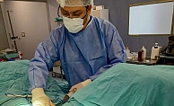  Anne karnındaki sıvı karaciğeri koruyor