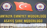 Antalya’da MİT yalanıyla 10 milyonluk dolandırıcılığa suçüstü