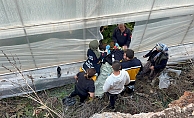 7 metrelik duvardan düşen çiftçi yaralandı