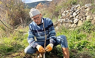 Antalya'da 82 yaşındaki yeminli mali müşavirden köy hayatına örnek proje