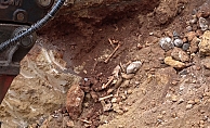  Antalya'da belediye kazısında kemik parçaları bulundu