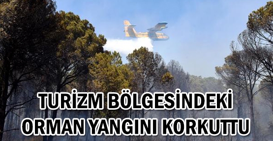 Turizm bölgesindeki orman yangını korkuttu