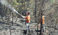 Gazipaşa’da çıkan orman yangınında 1 dönüm alan zarar gördü