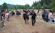 Motokros yarışında motosikletle birinci, diğer yarışmada eşekle sonuncu oldu