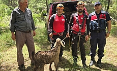  Düştüğü mağarada 3 gün mahsur kalan keçiyi kurtarma ekipleri çıkardı