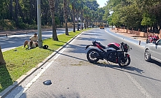 Motosiklet palmiye ağacına çarptı, sürücü yaralandı