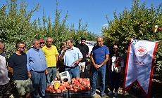 Serik’te nar hasadı başladı