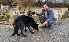  Sağanak sonrası evde mahsur kalan 4 köpek iş makinesiyle kurtarıldı
