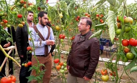 Vali Türker Aksu'daki seralarda
