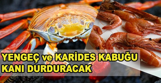 Yengeç ve karides kabuğu kanı durduracak